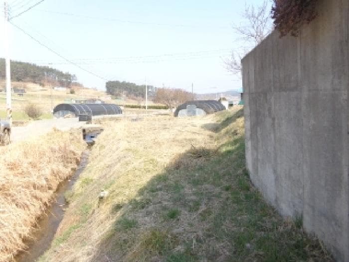 2025타경51117 사진