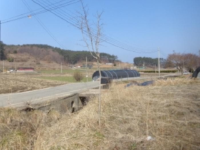 2025타경51117 사진