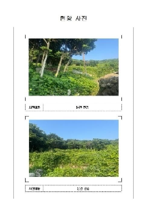 2025타경51203 사진