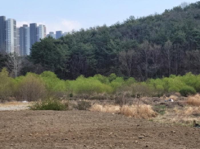 2025타경51243 사진