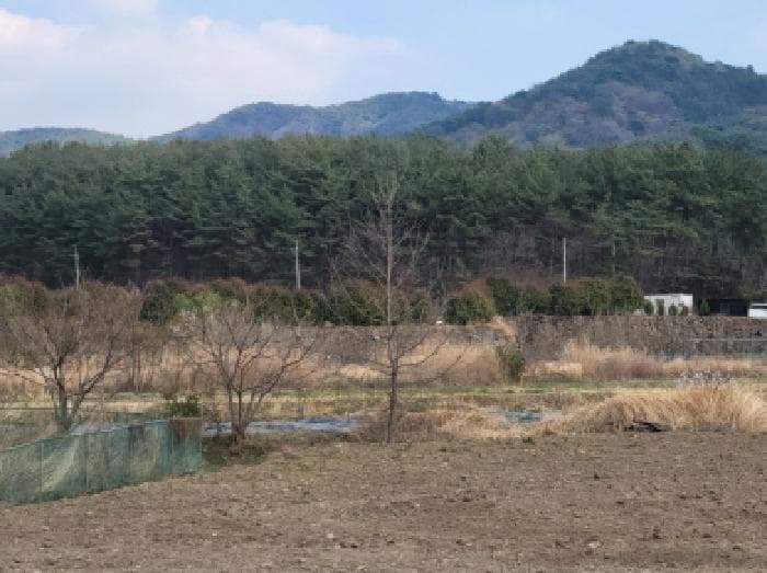 2025타경51243 사진