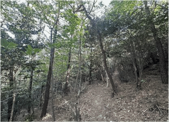 2025타경51385 주거용 대표 사진