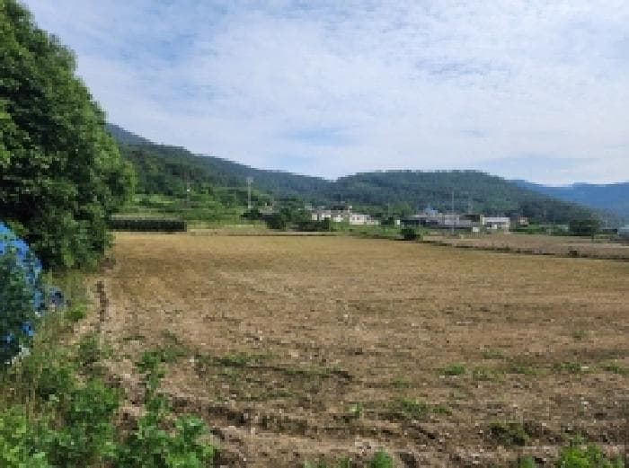 2025타경51568 사진