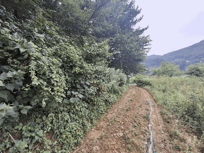 2025타경51577 사진