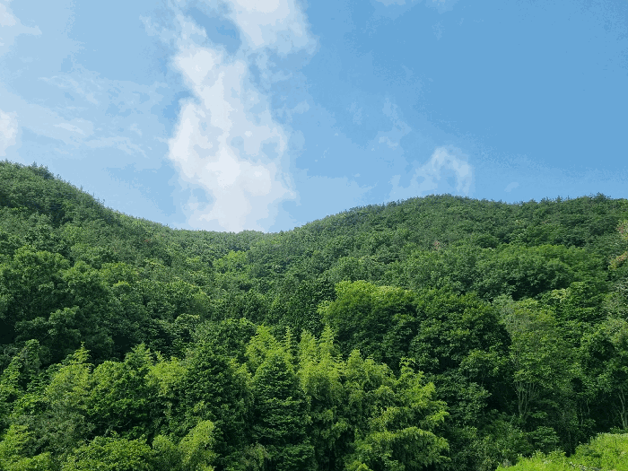 2025타경51594 부동산임의경매 대표 사진