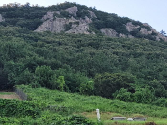 2025타경51713 사진