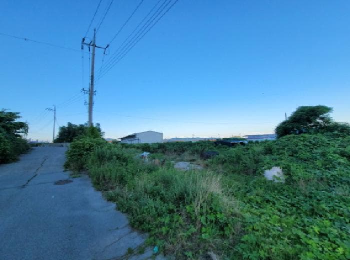 2025타경51713 사진