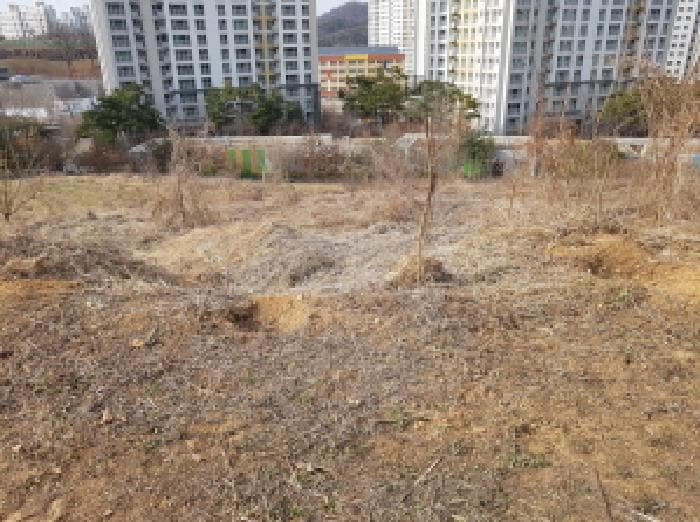2025타경51796 주거용 대표 사진