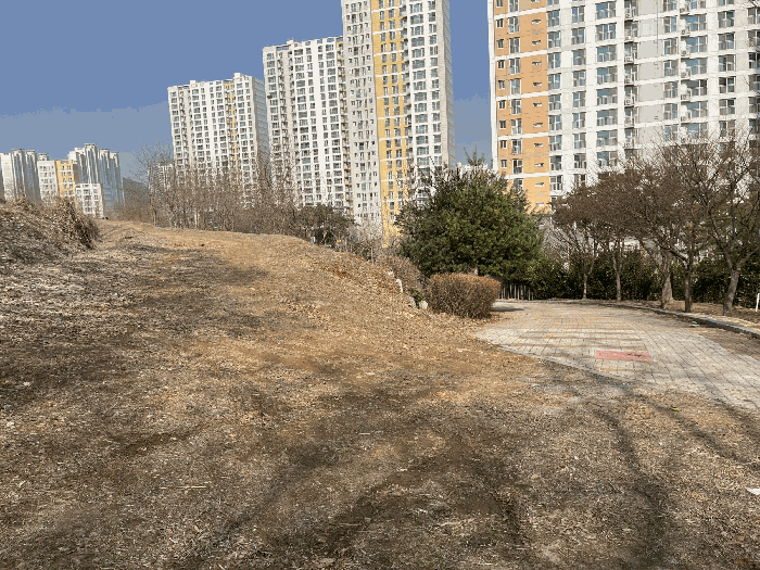 2025타경51796 사진