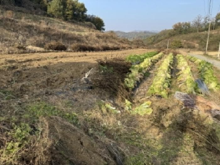 2025타경51919 주거용 대표 사진
