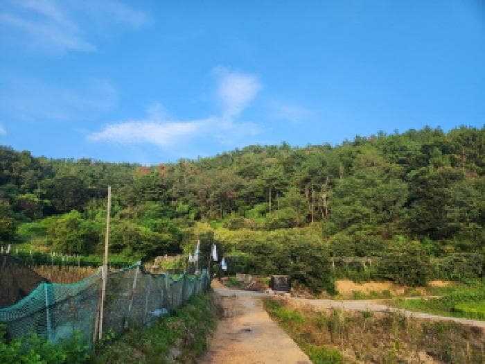 2025타경51937 주거용 대표 사진