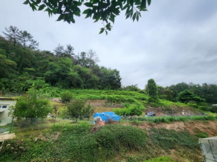 2025타경51957 주거용 대표 사진