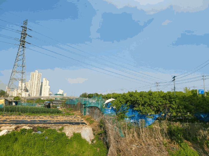 2025타경52233 사진