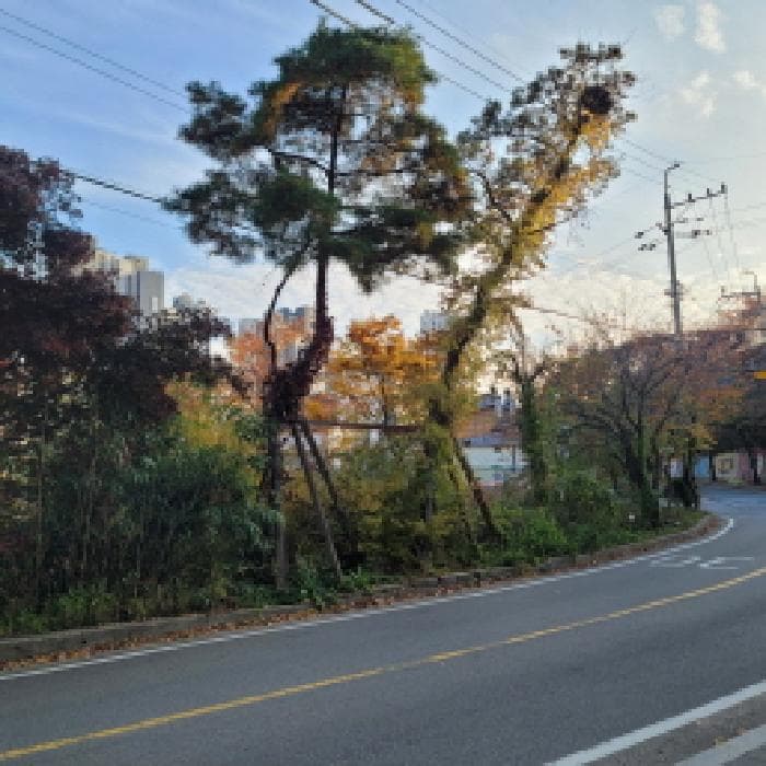 2025타경64467 사진