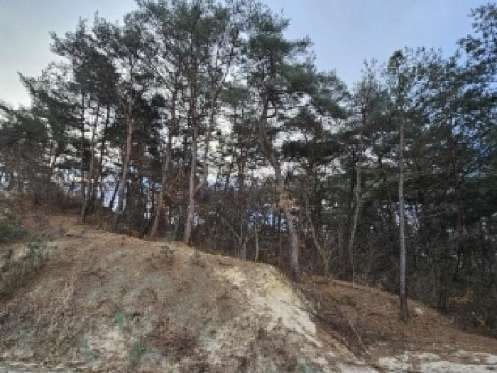 2025타경100046 사진