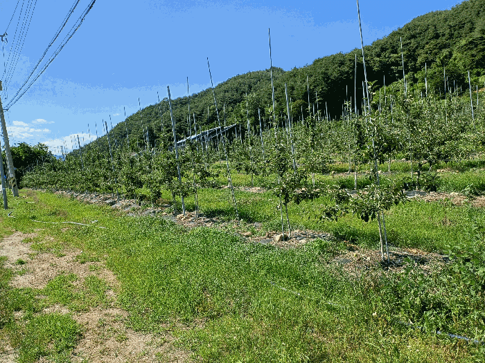 2025타경100413 부동산강제경매 대표 사진