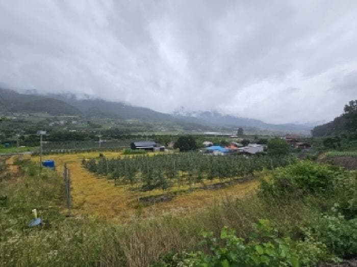 2025타경100413 사진