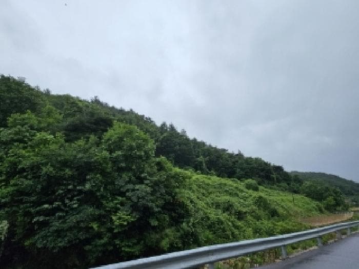 2025타경100416 사진