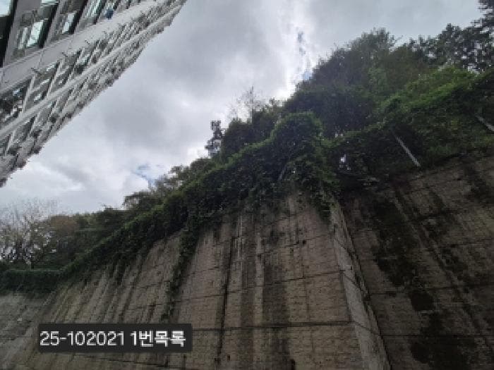 2025타경102021 사진