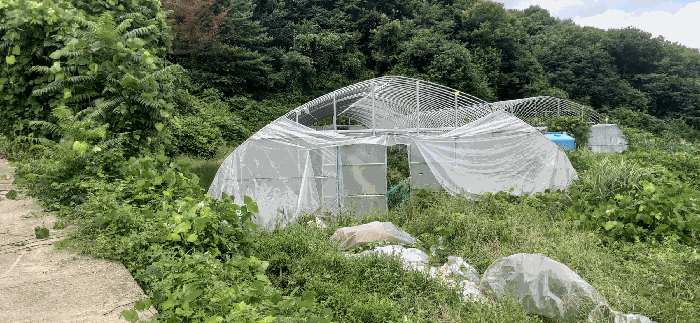2025타경502886 사진