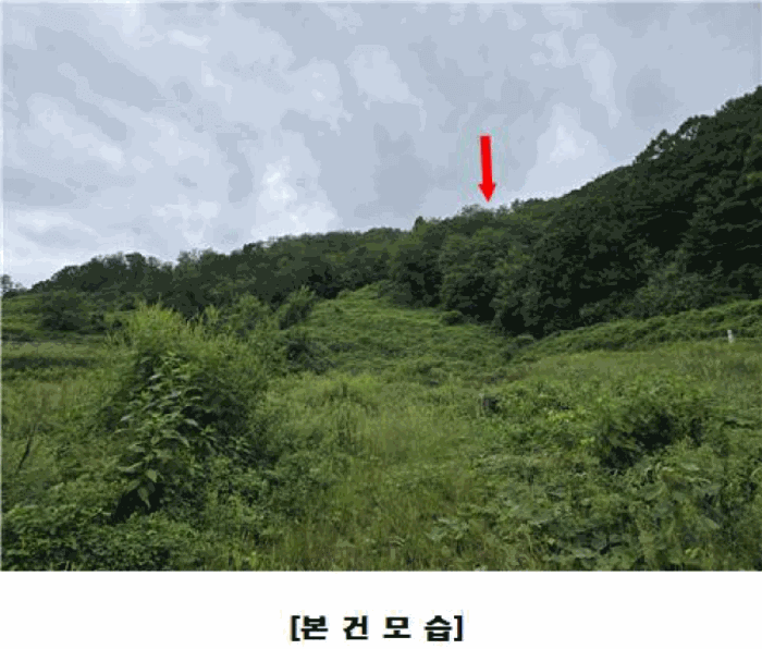 2025타경503233 사진