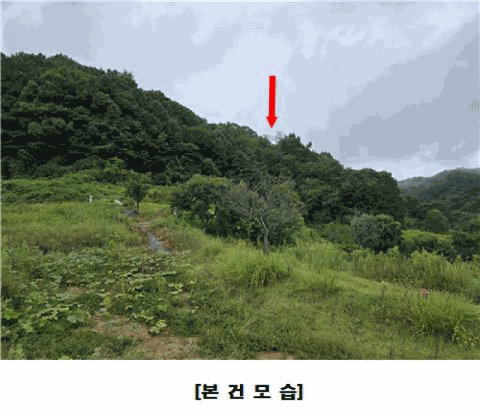 2025타경503233 사진