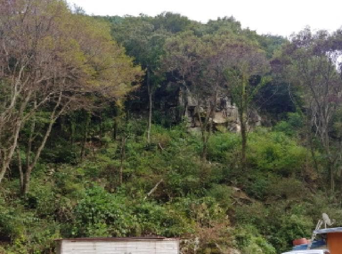 2025타경503409 부동산강제경매 대표 사진