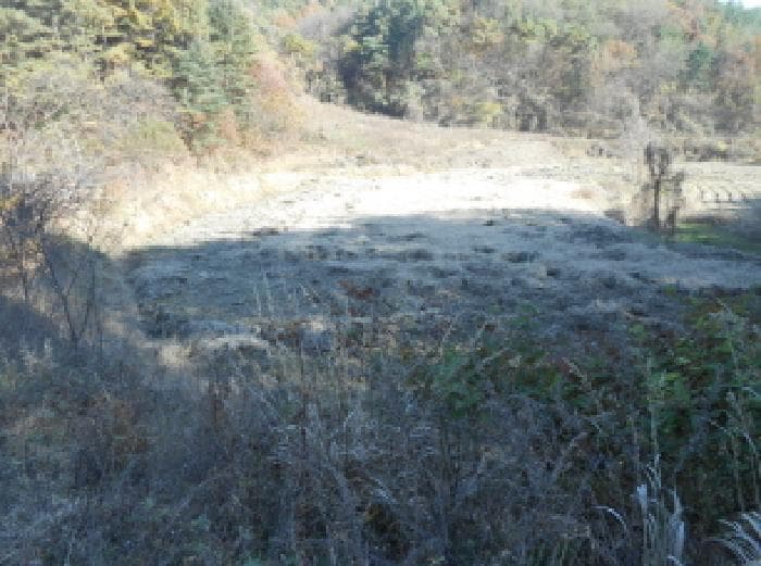 2025타경503754 부동산임의경매 대표 사진