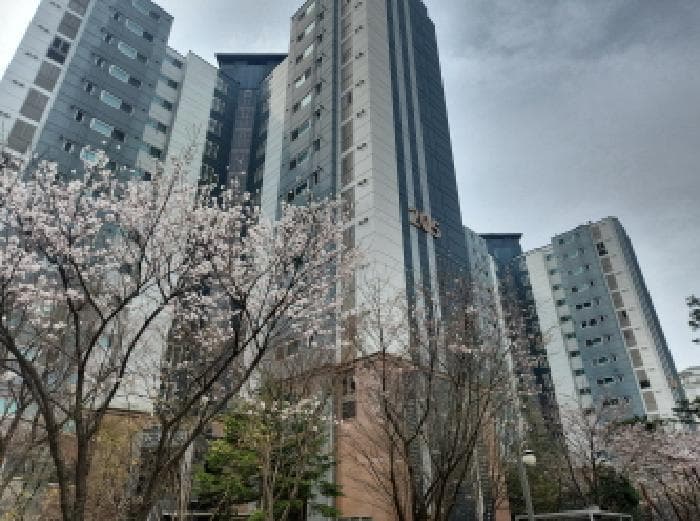 2025타경508374 주거용 대표 사진