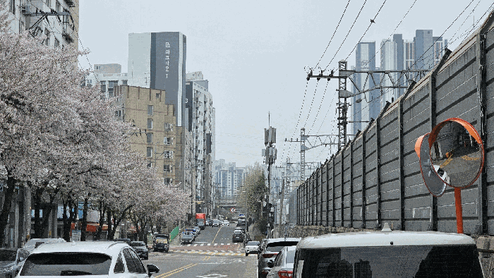 2025타경508684 사진