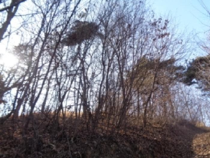 2026타경4 공유물분할을위한경매(부동산) 대표 사진
