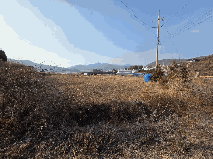 2026타경17 사진
