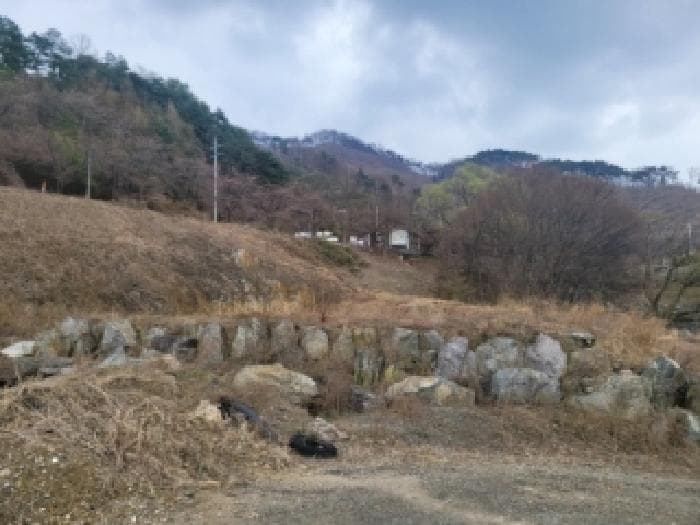 2026타경104 부동산임의경매 대표 사진