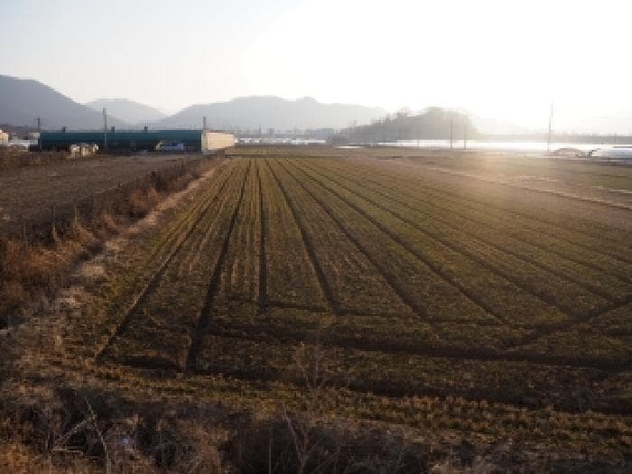 2026타경124 사진