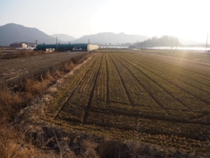 2026타경124 사진
