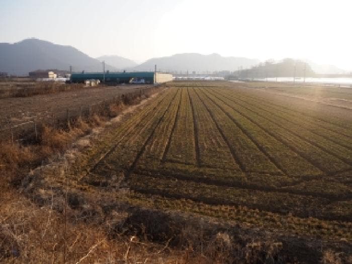 2026타경124 부동산임의경매 대표 사진