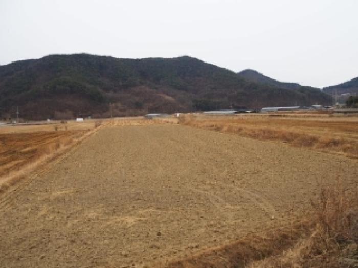 2026타경209 사진