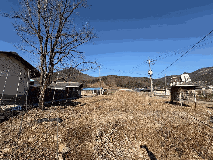 2026타경50128 사진