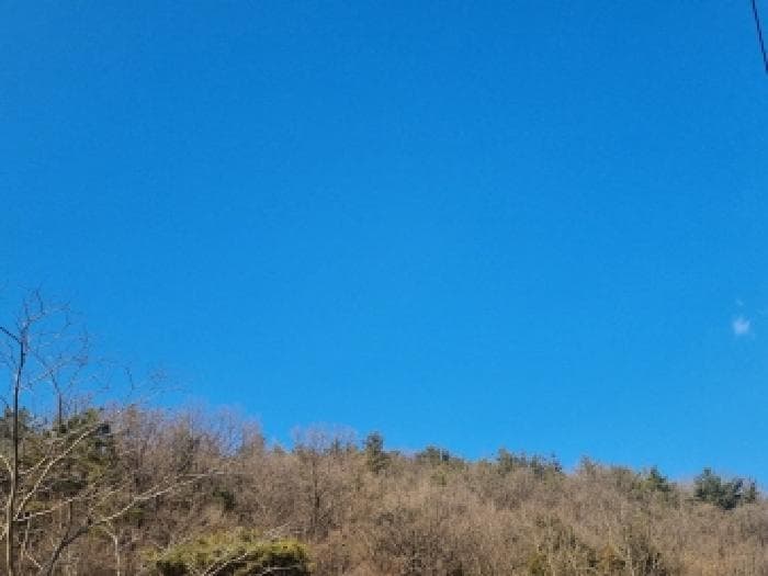 2026타경50276 부동산강제경매 대표 사진