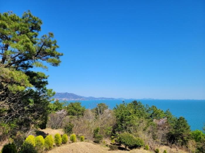 2026타경50394 부동산임의경매 대표 사진