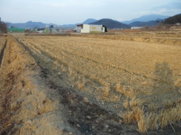 2024타경44952 사진
