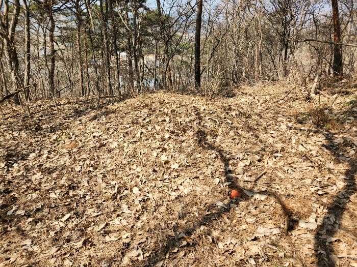 2024타경52036 사진