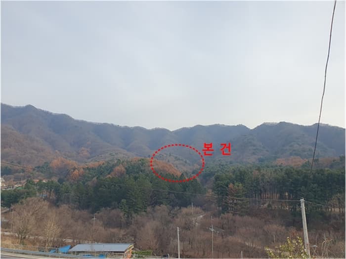 2024타경86451 사진