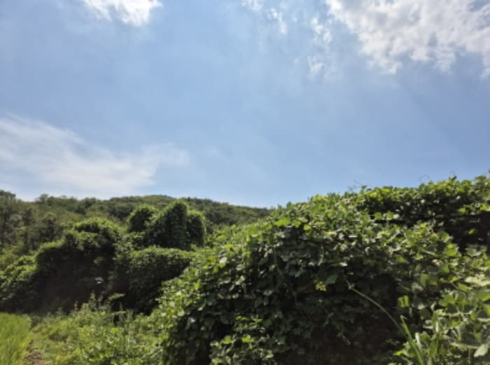 2024타경113204 사진