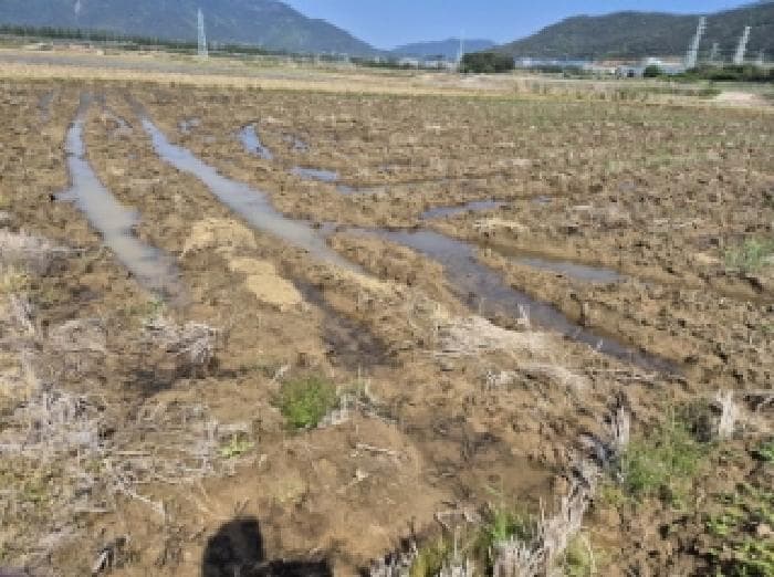 2025타경422 사진