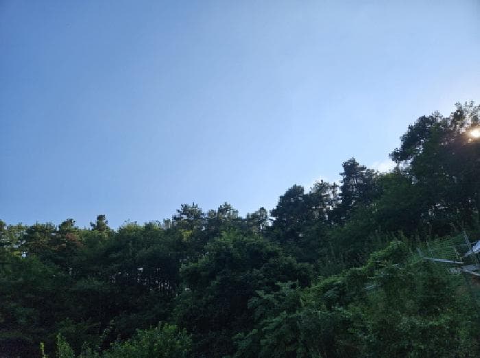 2025타경741 사진
