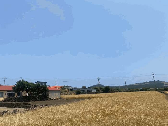 2025타경1207 사진