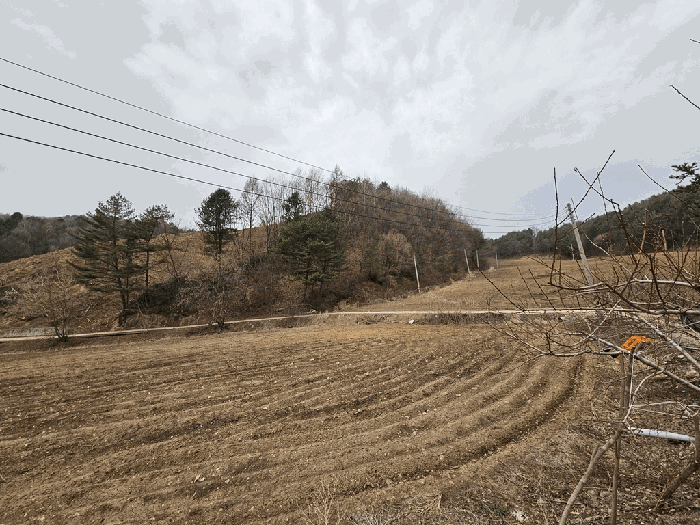 2025타경30393 사진