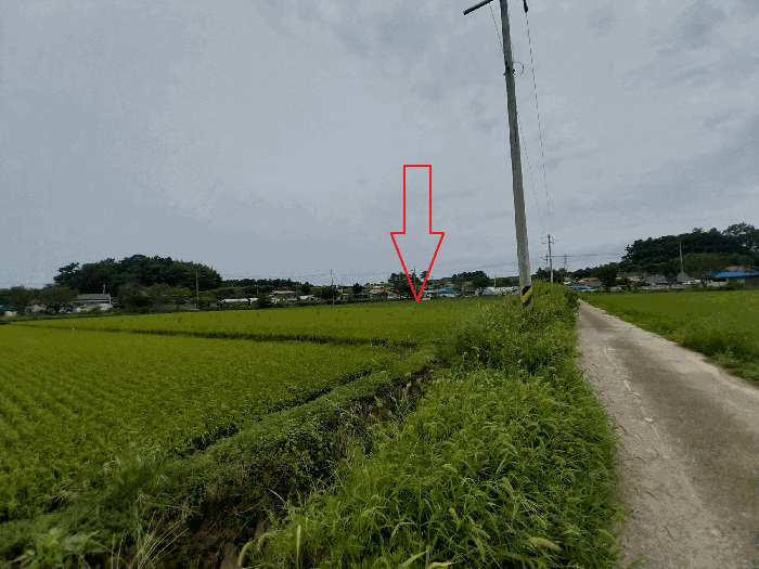 2025타경30398 사진