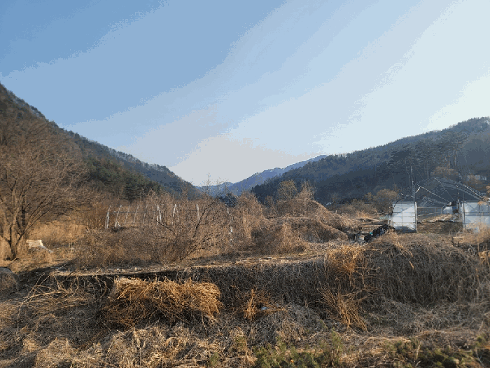 2025타경30403 사진